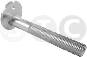 STC T439290 - TORNILLO BRAZO SUSPENSION NISSAN QASHQAI